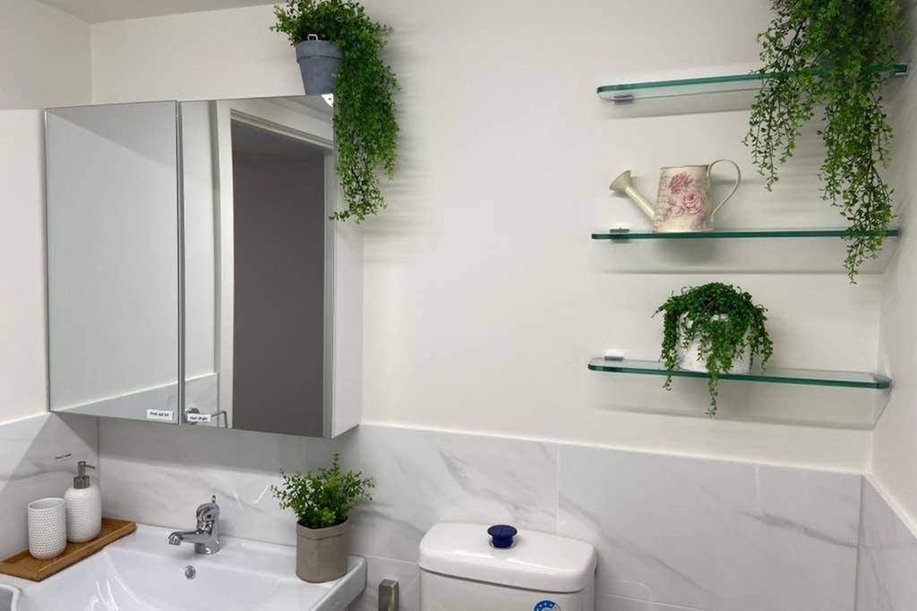 10A Brunswick Living Studio Close To Apt And Cbd Free Wifi Tram At Doorstep Melbourne City Exterior foto